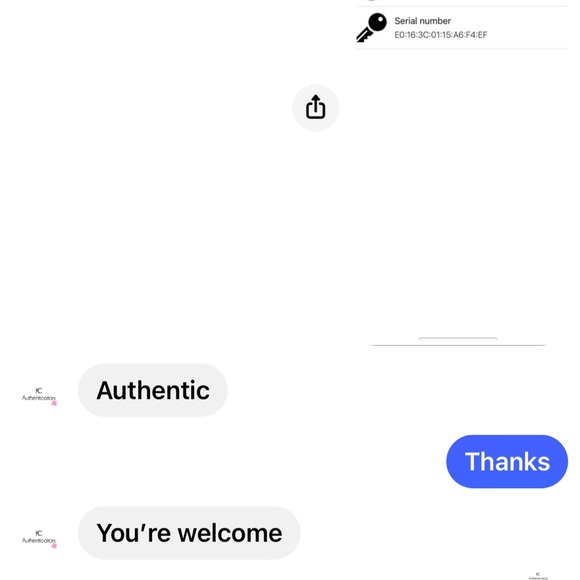 Speedy 30 - Picture 12 of 13